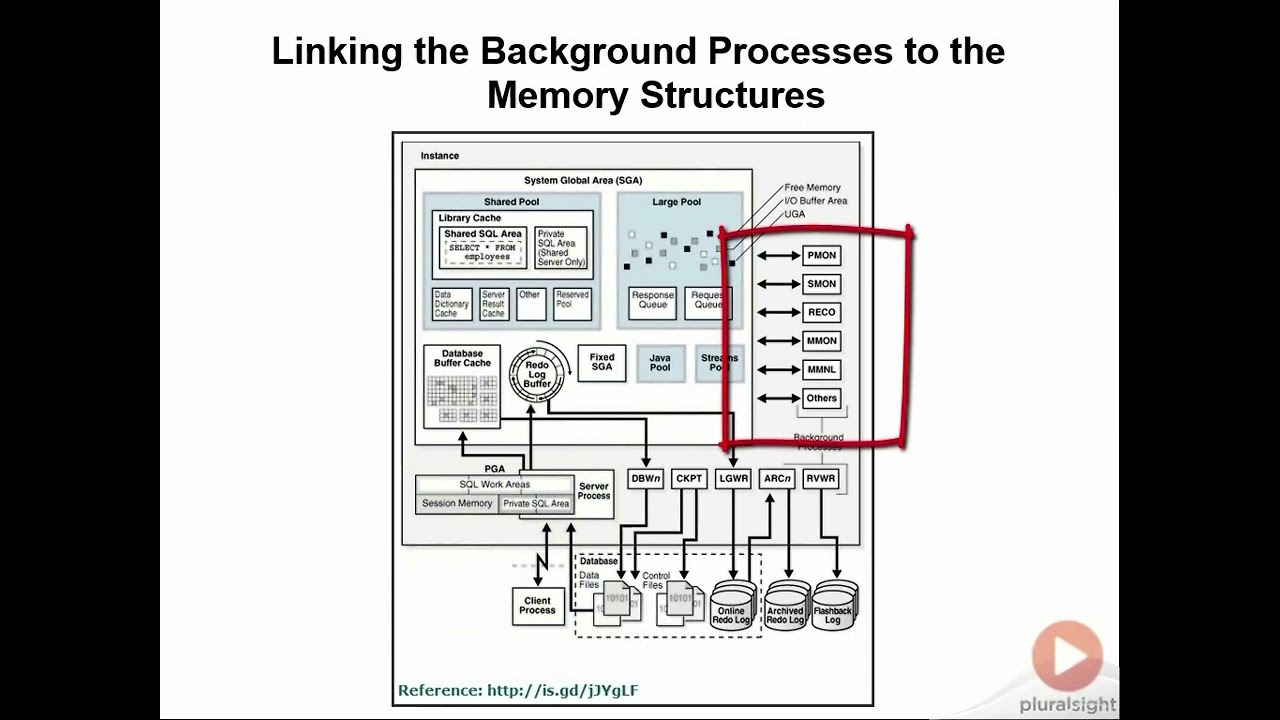 02 05 Oracle Database 12c Fundamentals  Linking the Background Processes to the Memory Structures