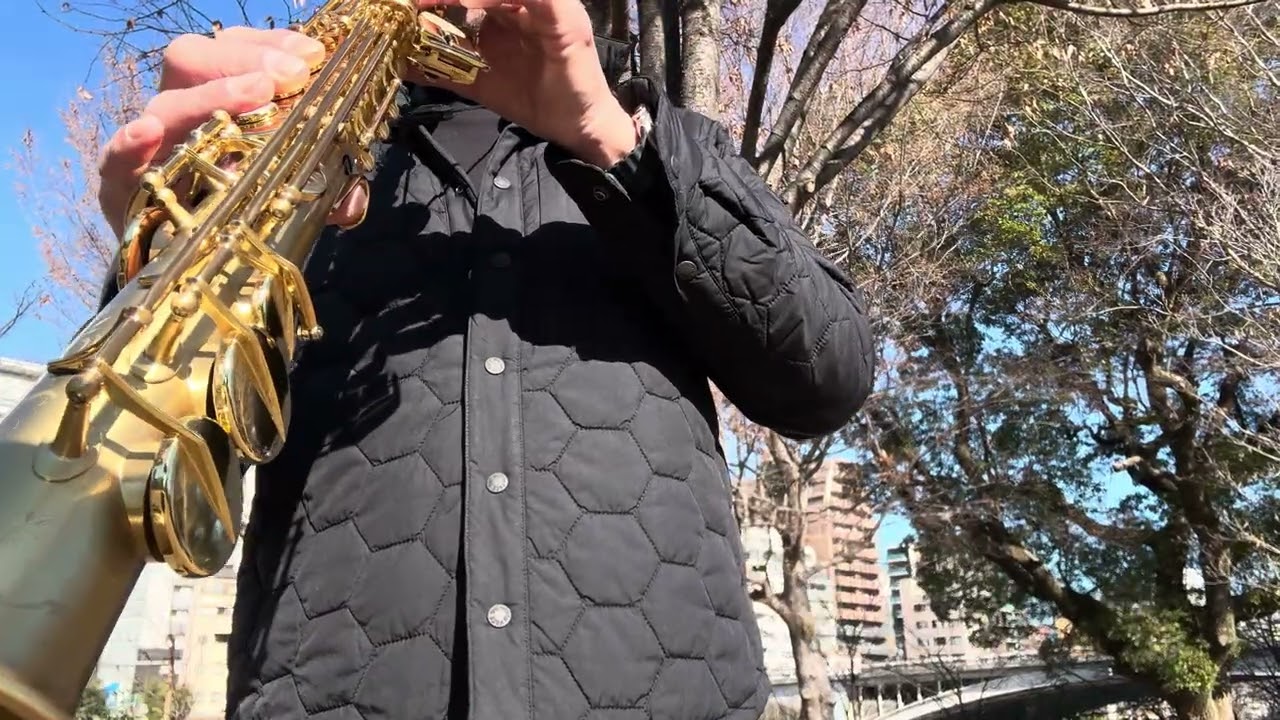 ‘O Sole Mio no.204 #italy #music #saxophone 