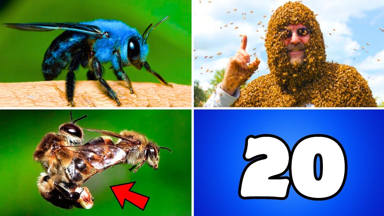 20 COSE CHE NON SAPEVI SULLE API!