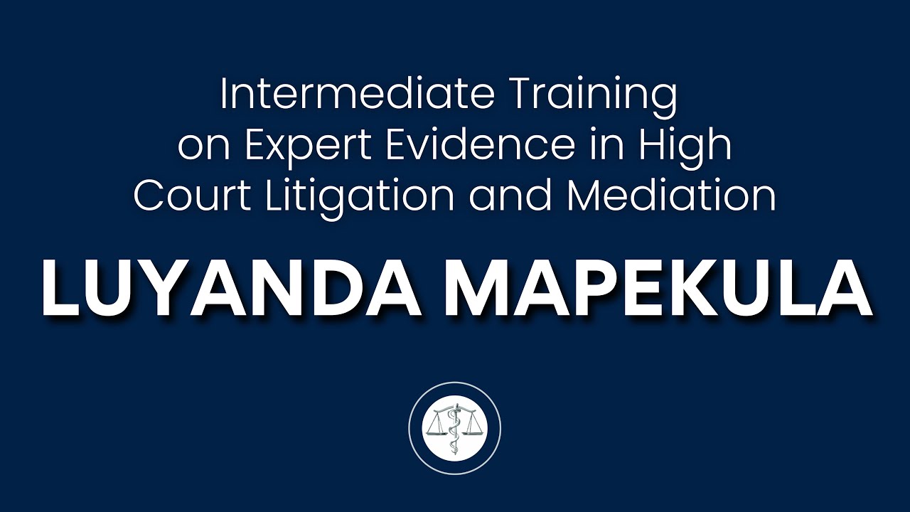 Participant Interview: Luyanda Mapekula
