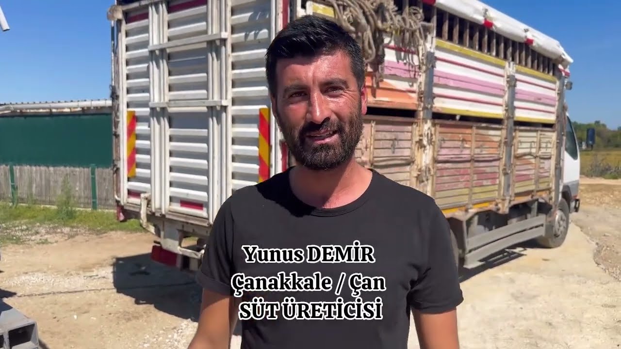05.10.2024 ALMAN TANKLARI ÇANAKKALE/ÇAN ‘a HAYIRLI OLSUN #savaşdursun #hayvancılık #gebedüve