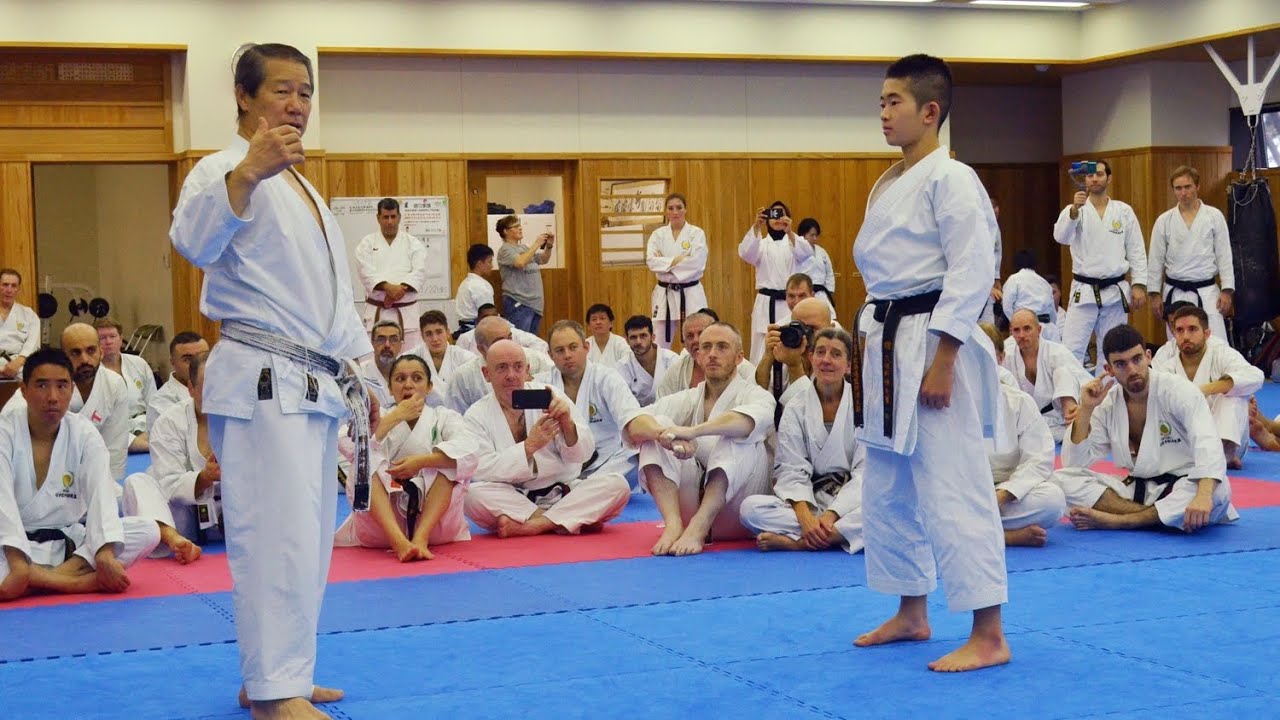 CHINTE KATA - SHOTOKAN - Limerick Shojinkai