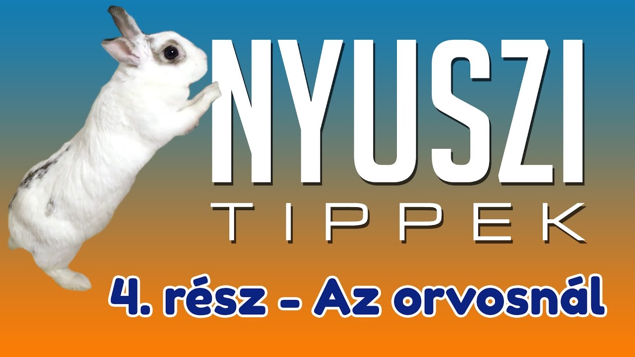 BEOLTATTUK KIKIT | Nyuszi tippek #4