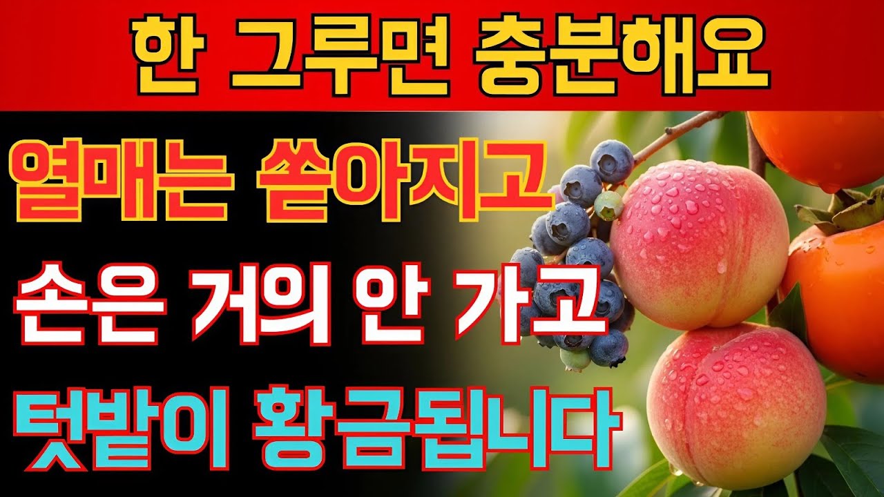 한 그루만 심어도, 1년 내내 황금 열매! 텃밭에 꼭 심어야 할 나무 10가지