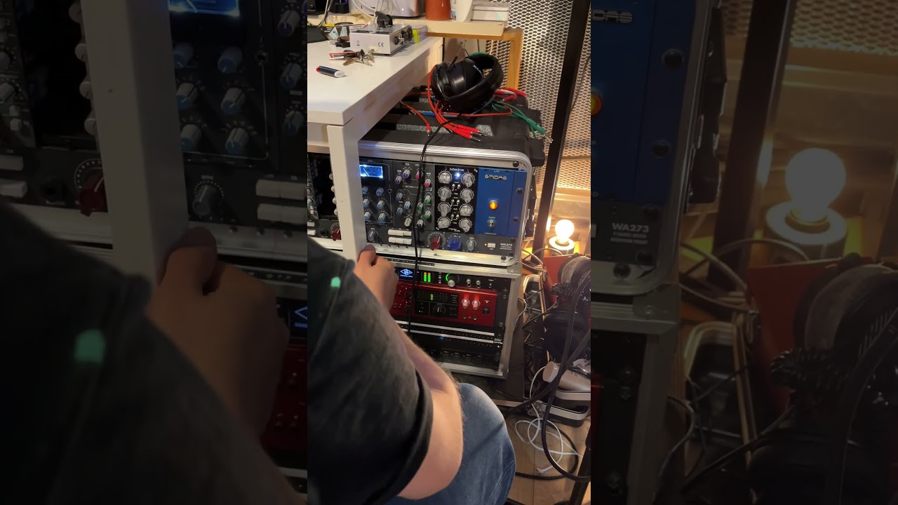 Processing 303 with some studio gear #303 #acid #gear #live