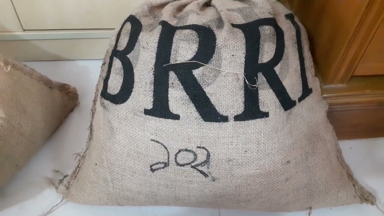 BRRI DHAN 102 | BRRI Boro Dhan 102 |BRRI DHAN 108 | #brridhanpopularvariety
