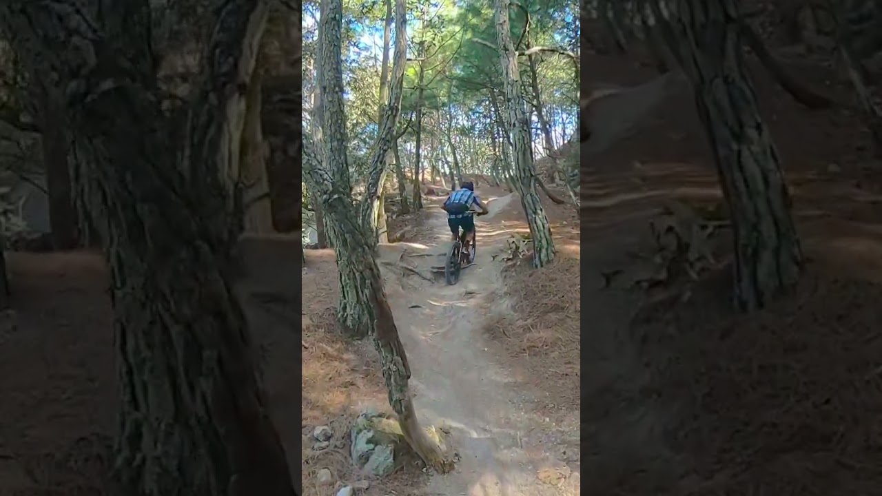 Torre 1 MTB