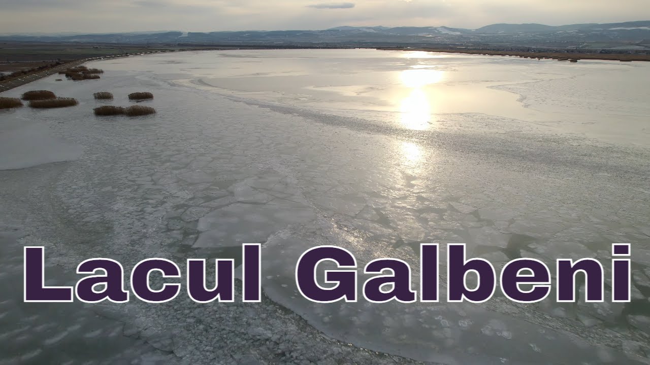 Lacul Galbeni inmarmurit de gheata.Lacul de acumulare Galbeni/Raul Siret