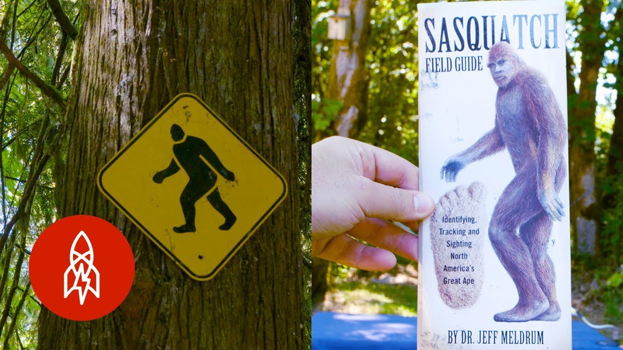 Tracking Down Bigfoot