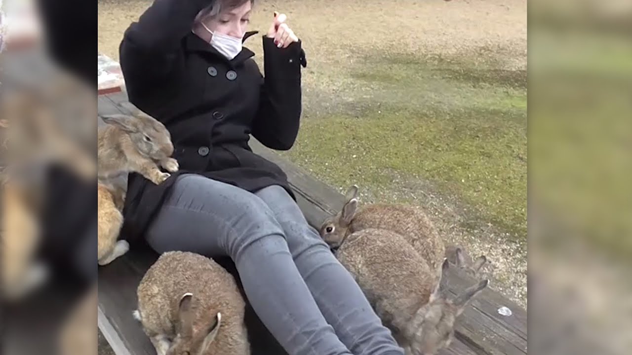 Ein Paradies f&uuml;r Tierliebhaber: Die Hasen Insel!