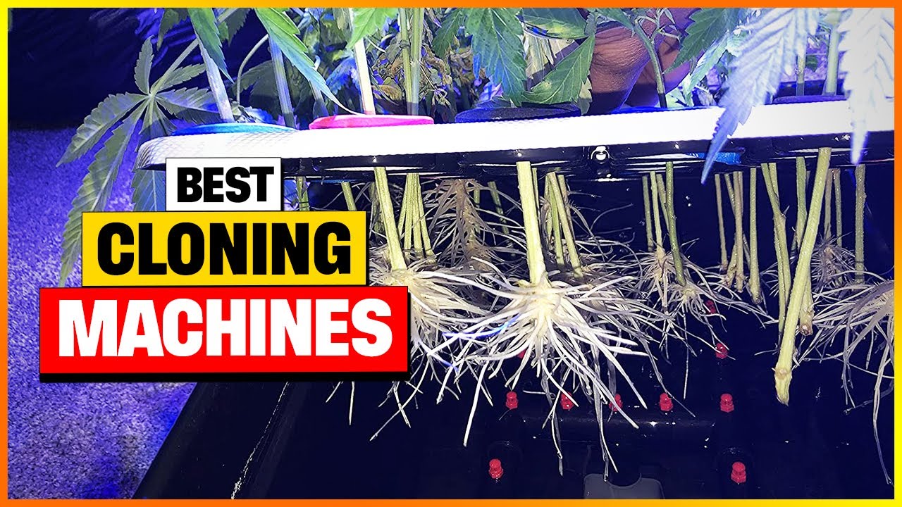 Top 7 Best Cloning Machines in 2026 &ndash; The Ultimate Review