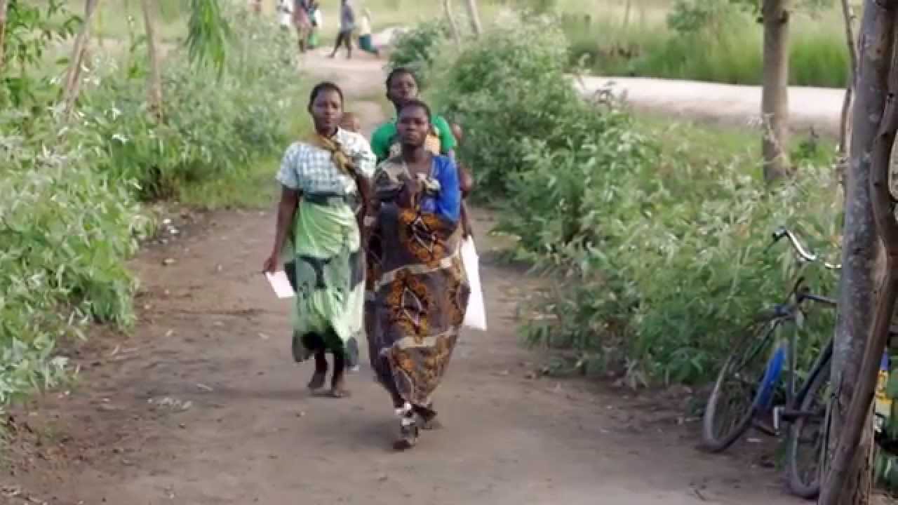 Discovering a Cause and Treatment for Stunted Growth