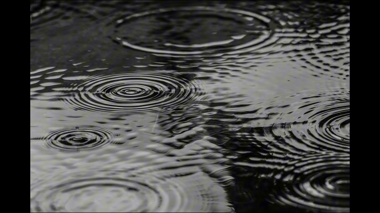 Rain & Birds Nature Sounds for Tinnitus Relief 🌧️🕊️ 2 Hours of Relaxing Sleep & Stress Reduction