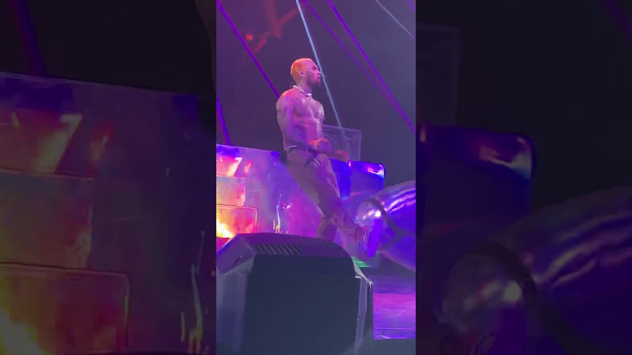 Chris Brown No Guidance Indigoat Tour (Anaheim California - Last Show)