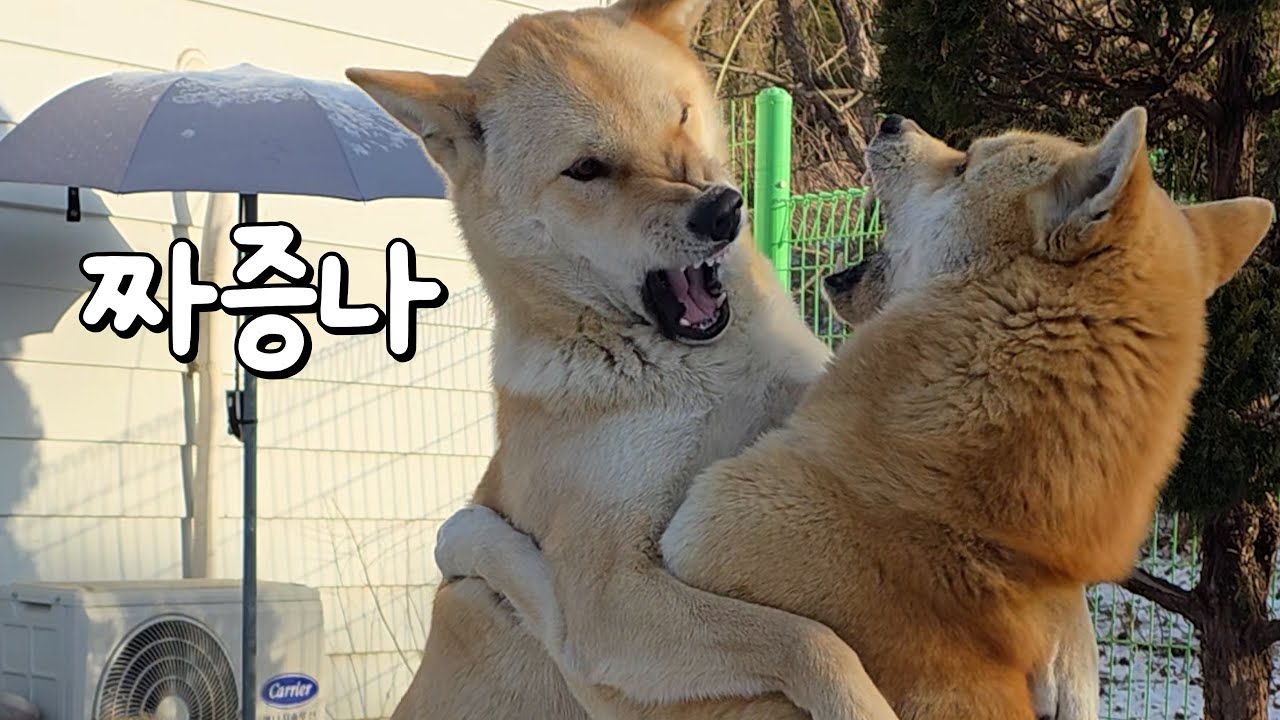 삼용아 니가 잘못했어