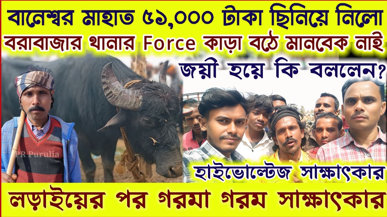 বানেশ্বর মাহাত ৫১,০০০ টাকা ছিনিয়ে নিলো★জয়ী হয়ে কাড়ার নাম দিয়ে দিলেন★লড়াইয়ের পর সাক্ষাৎকার।