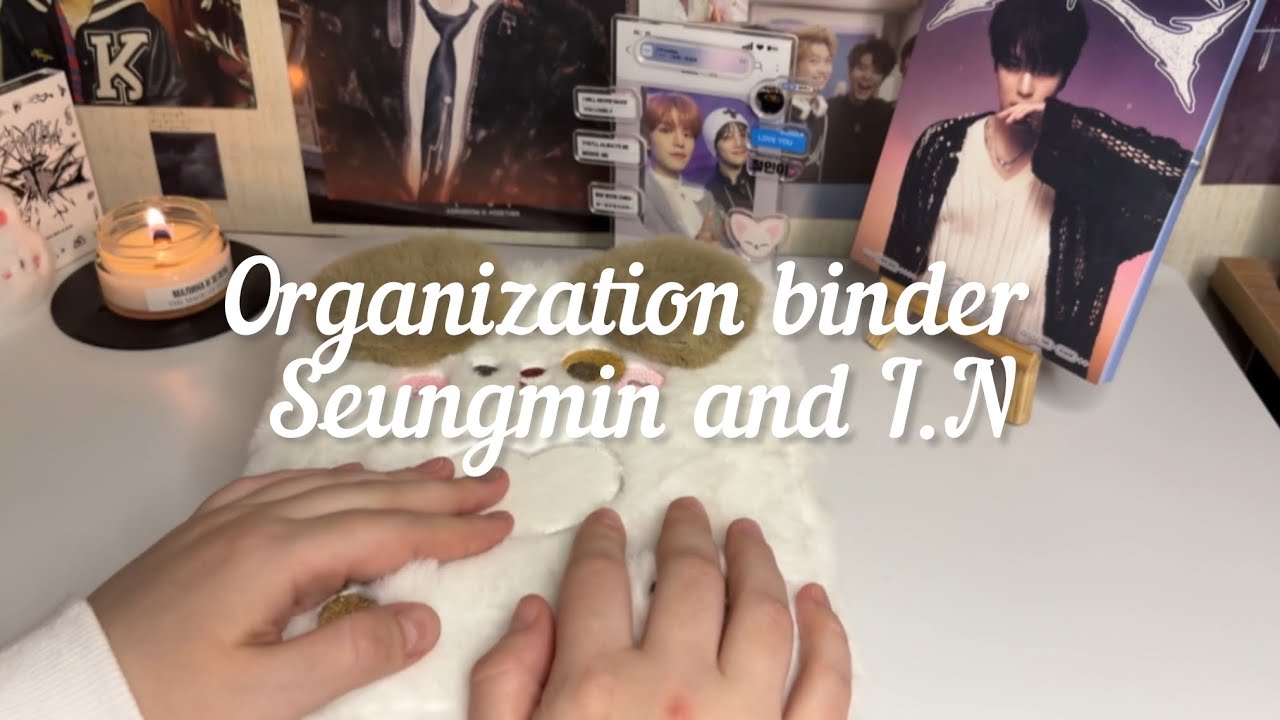 🐶🦊Организация Сынмино-Чонинового биндера | organisation binder Seungmin and I.N