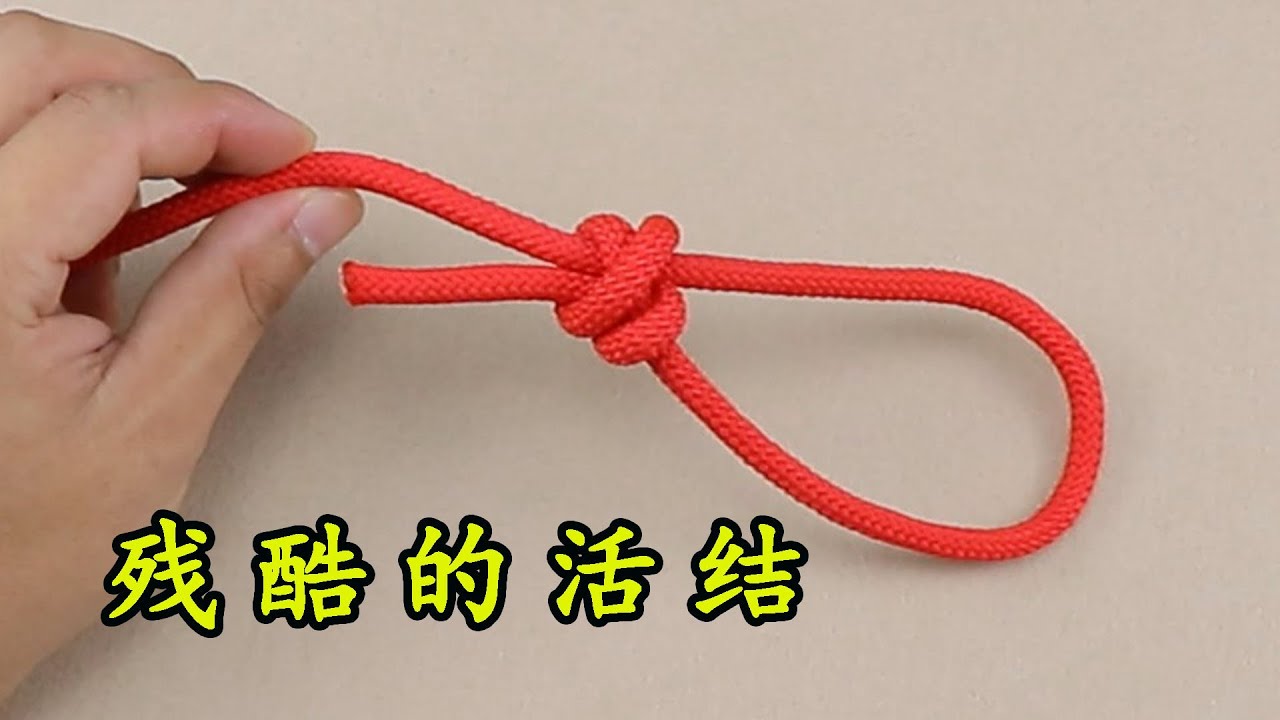 此绳结被称为残酷的活结，可以越拉越紧，生活必备绳结之一