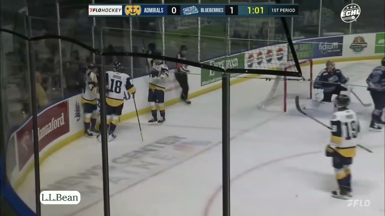 Maine Wild Blueberries (Maine Mariners) vs. Norfolk Admirals highlights - 3/14/26
