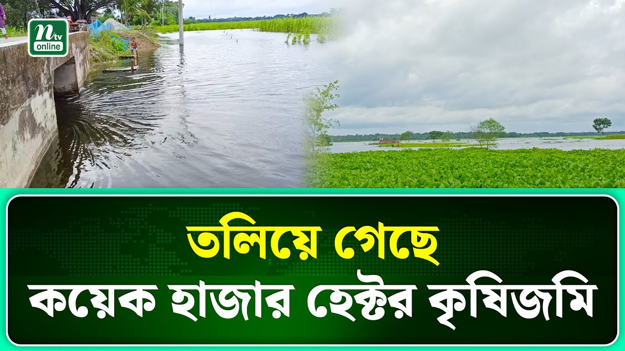 ভারত থেকে আসা পানিতে ইছামতি নদীসহ বেনাপোলের বিস্তৃত এলাকা প্লাবিত | Jessore | NTV News