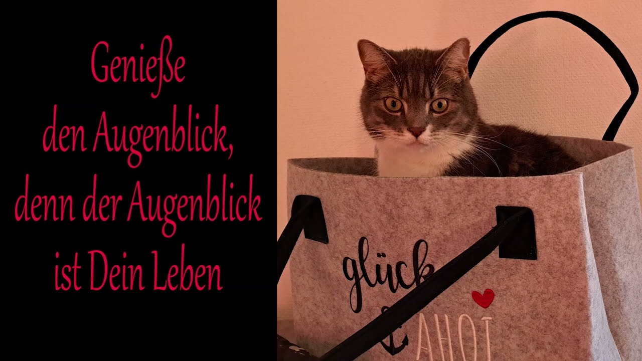 Liebe Grüße von mir