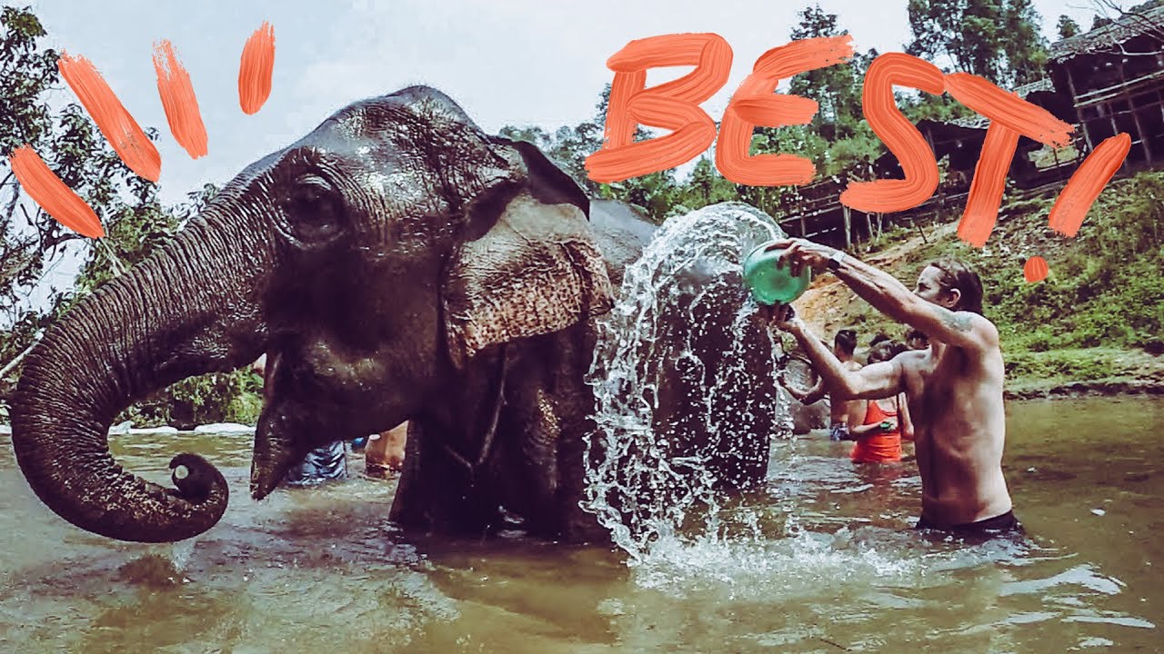 BEST ELEPHANT SANCTUARY ▼ CHIANG MAI - THAILAND