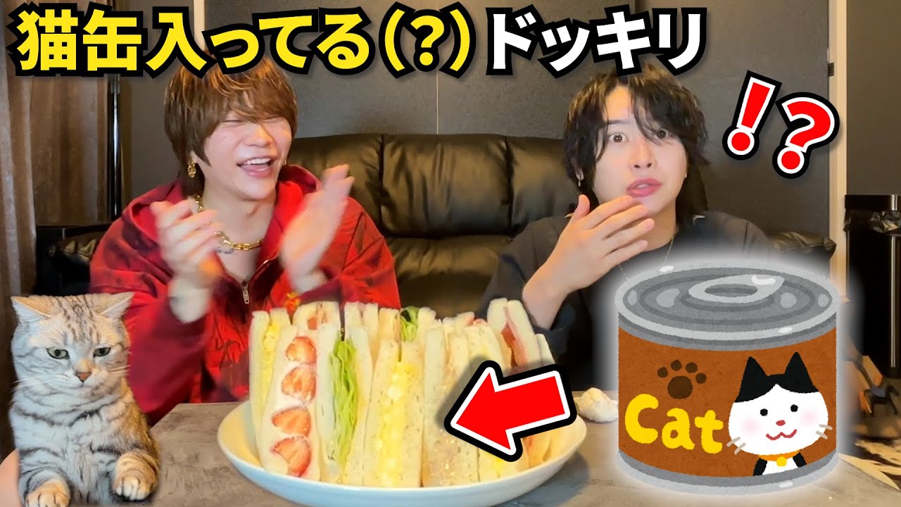 【質問モッパン】猫嫌いにツナサンドの中身が猫缶(?)ドッキリしたらまさかの反応したww【本当はツナ缶】