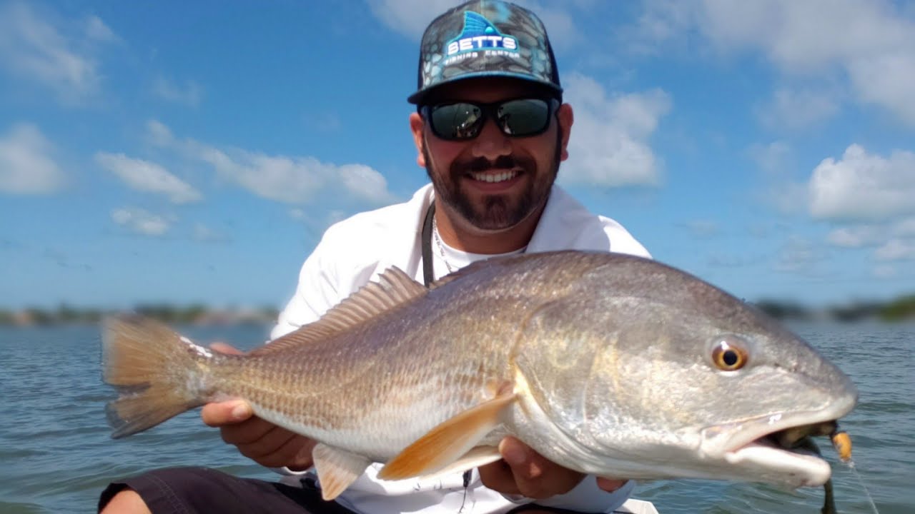 Zman SnakelockZ rigging