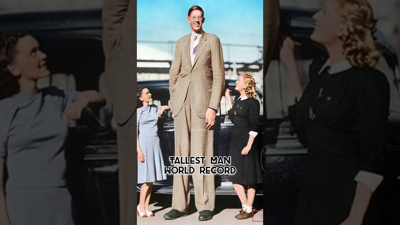 Top 10 Best World Records 🤯😱