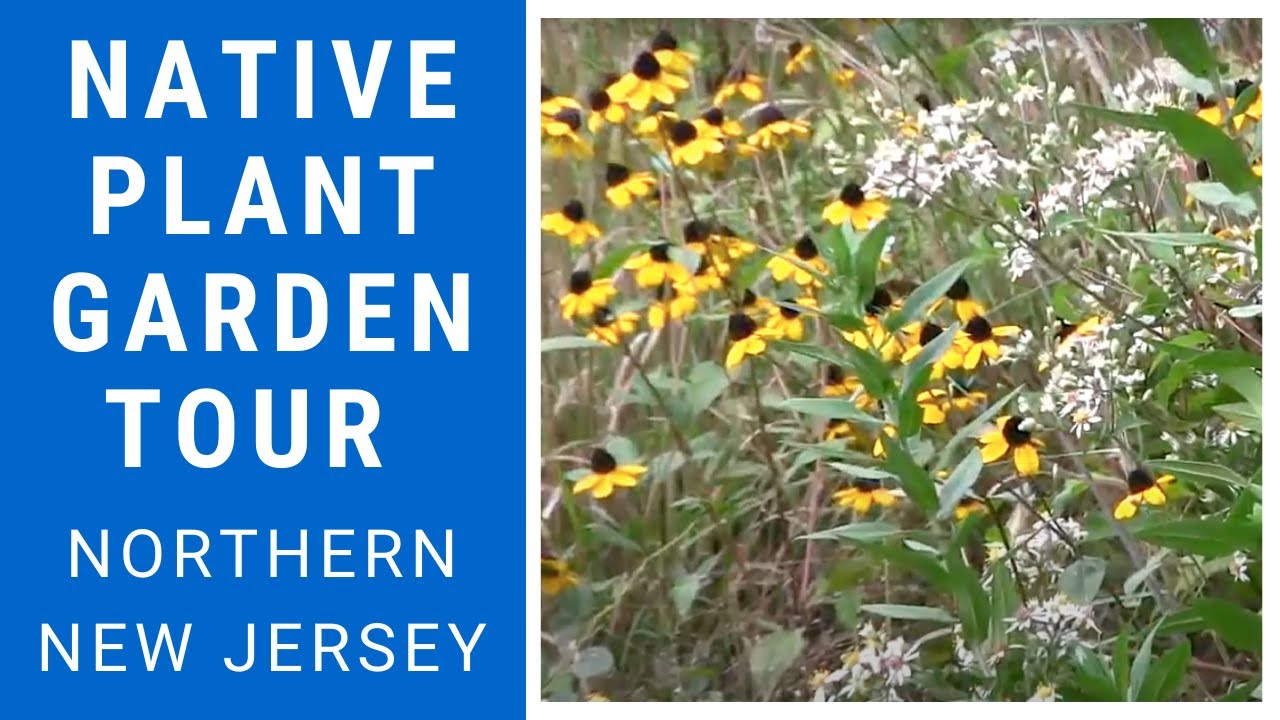 Native Plant Garden Tour Northern NJ