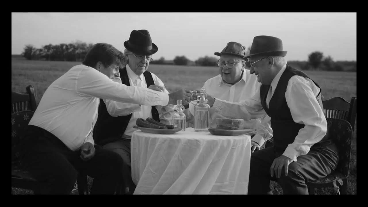 Not The Bees feat. Vajda - Ments meg, Jovovich