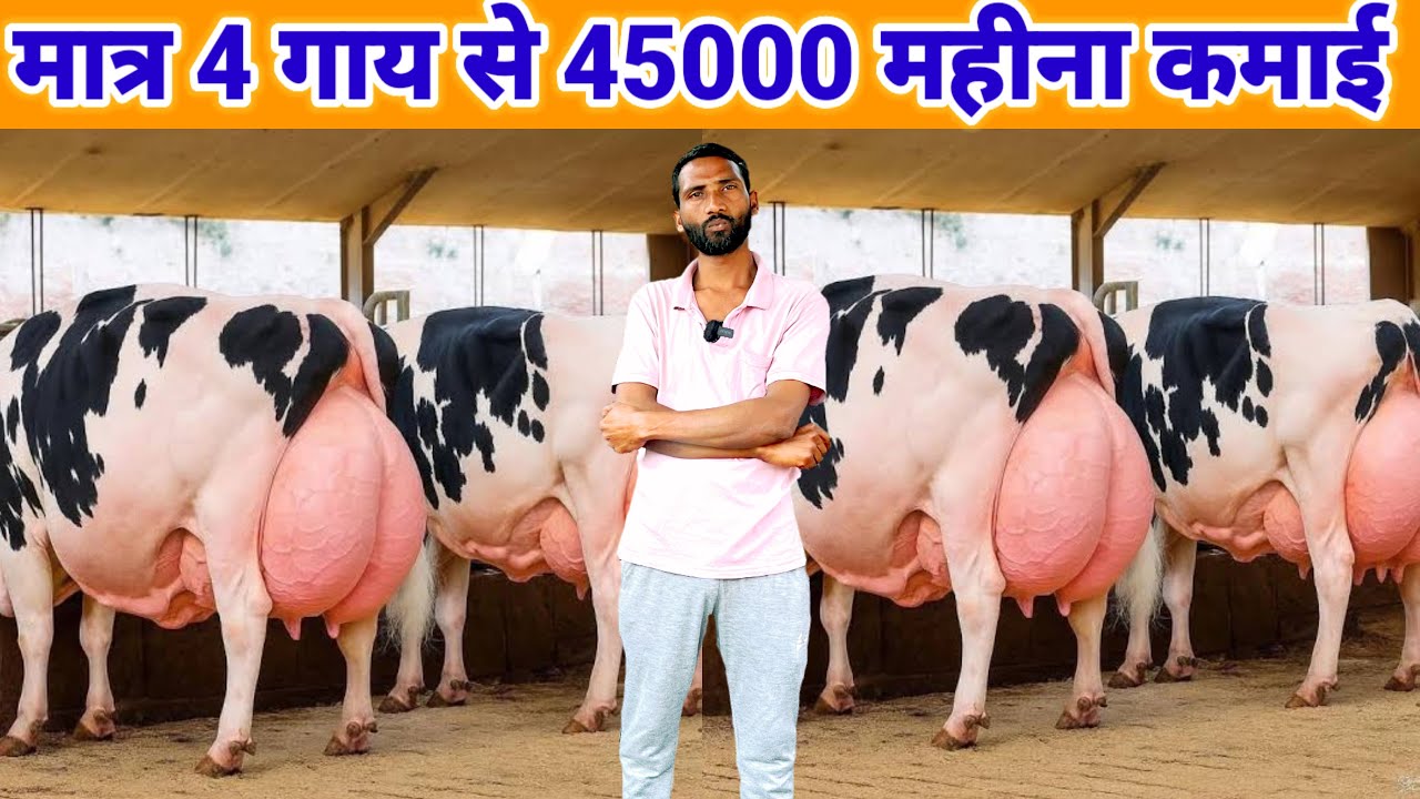 मात्र 4 गाय से 45000 महीना कमाई | small dairy farm business model 