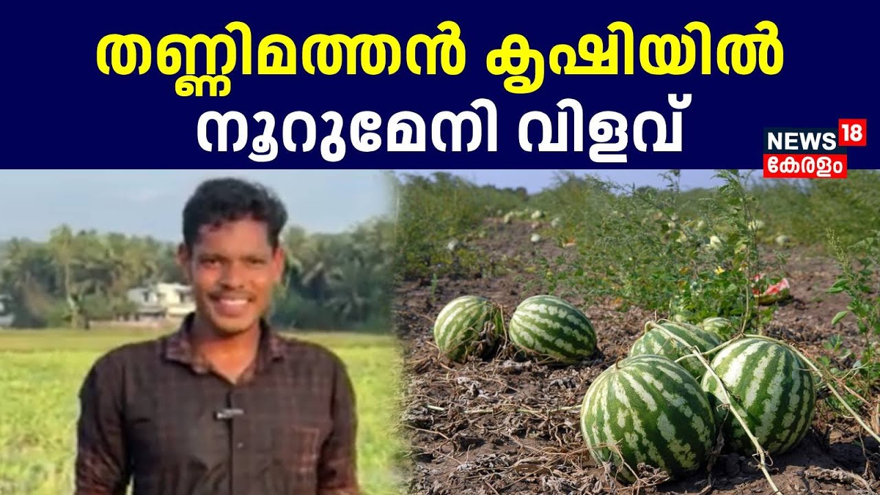 തണ്ണിമത്തൻ കൃഷിയിൽ നൂറുമേനി വിളവെടുത്ത് അലി അക്ബർ | Watermelon Farming | Malayalam News