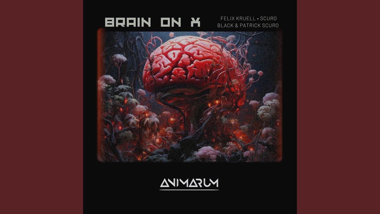 Brain on X
