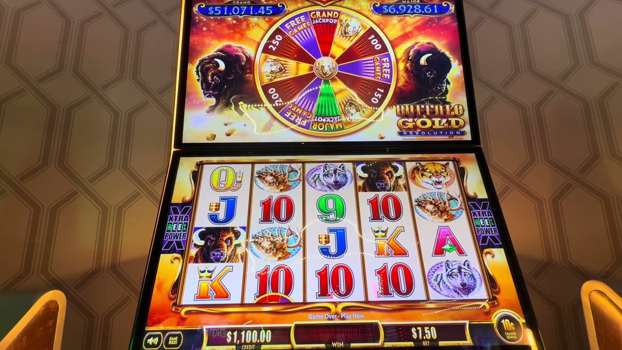 Hard Rock Casino Sacramento The Great Buffalo Bonanza Gold Revolution