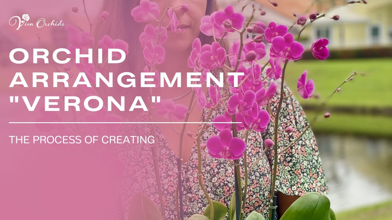 The Process of Creating an Orchid Arrangement 