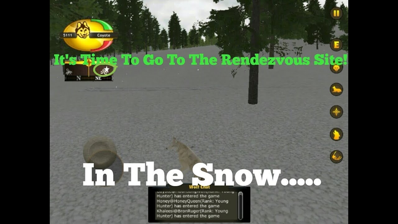 WolfQuest Glitch: Tour A Broken Raising Pups Game