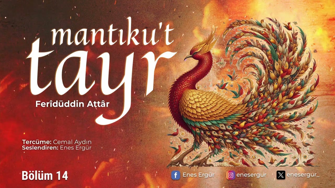 MANTIKU'T TAYR - 14.BÖLÜM