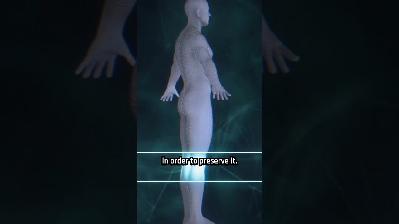 People Are Freezing Their Bodies After Death 