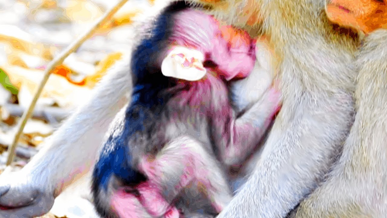 BiBi Can&rsquo;t Get Enough &ndash; He&rsquo;ll Eat Anything!