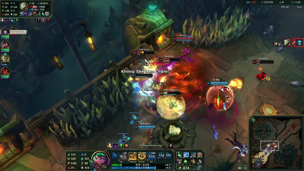 poppy 13 02 2026