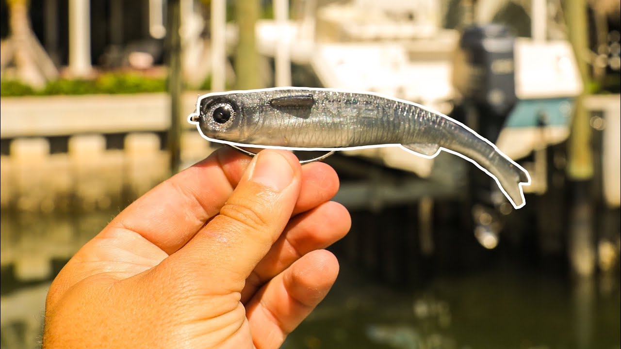 Big Saltwater Mullet Lure Gets CRUSHED By HUGE Fish