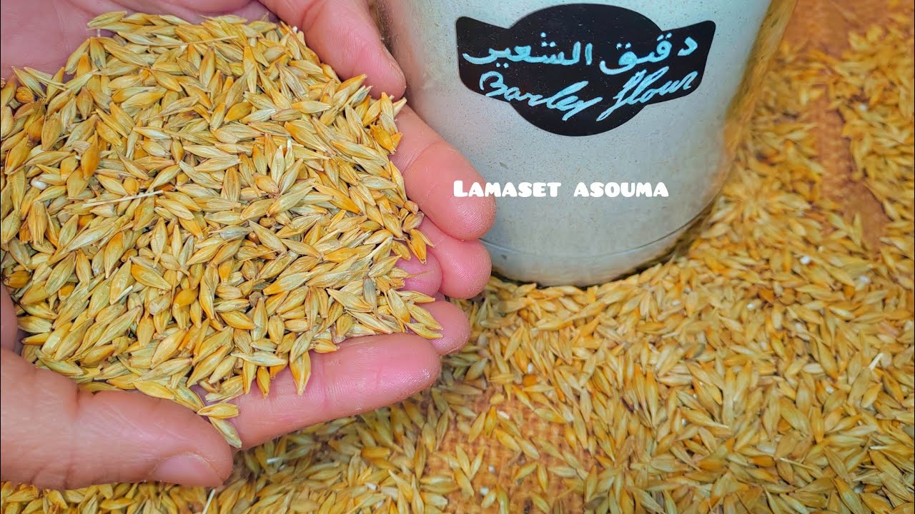 دقيق الشعير🌾وكراب الشعير🥞#دقيق_الشعير_نخالة_سميدالشعير_دشيشةالشعير