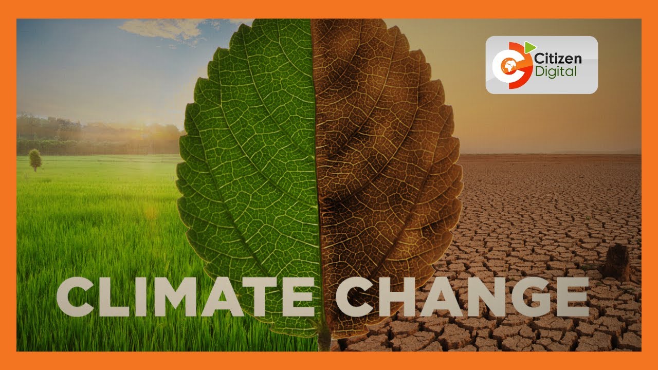| MOTHER NATURE’S RAGE |  Effects of climate change in Kenya’s coast region