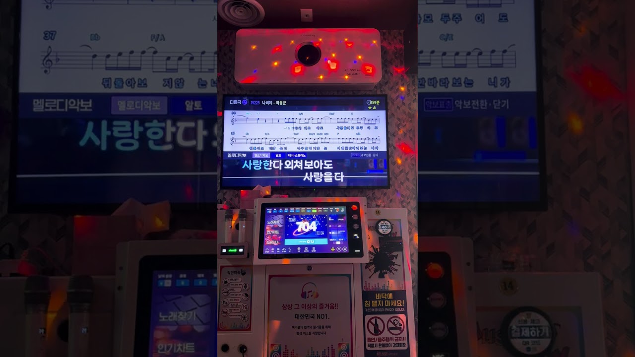 이루-마네킹