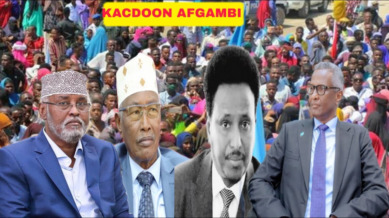 Shirqool Afgambi oo Garowe lagu Diyaarinayo Xasan Sheekh lagu ridayo,Dhalinyaro Muqdisho Hub uruursi