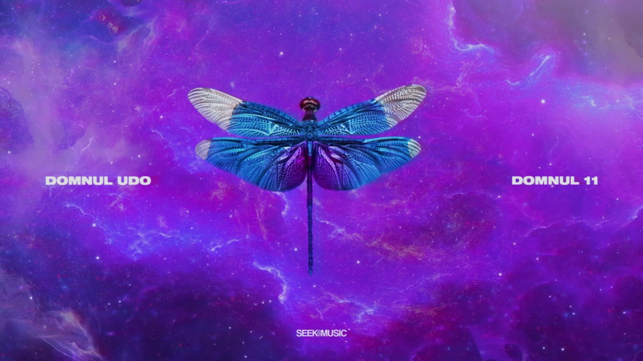 Domnul Udo - Trap House feat. NANE, NOSFE, Shift, Killa Fonic (Audio)