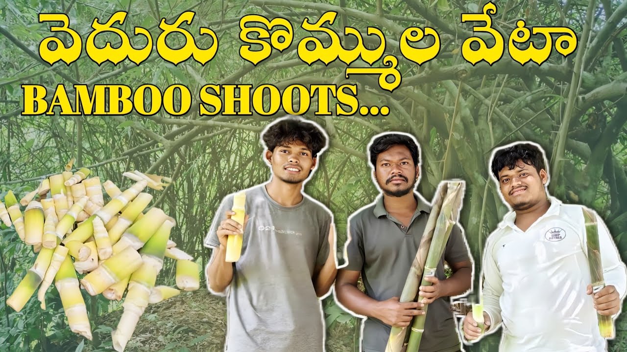 వెదురు కొమ్ముల కోసం వెల్లం # bamboo shoot దారంతా పచ్చదనం