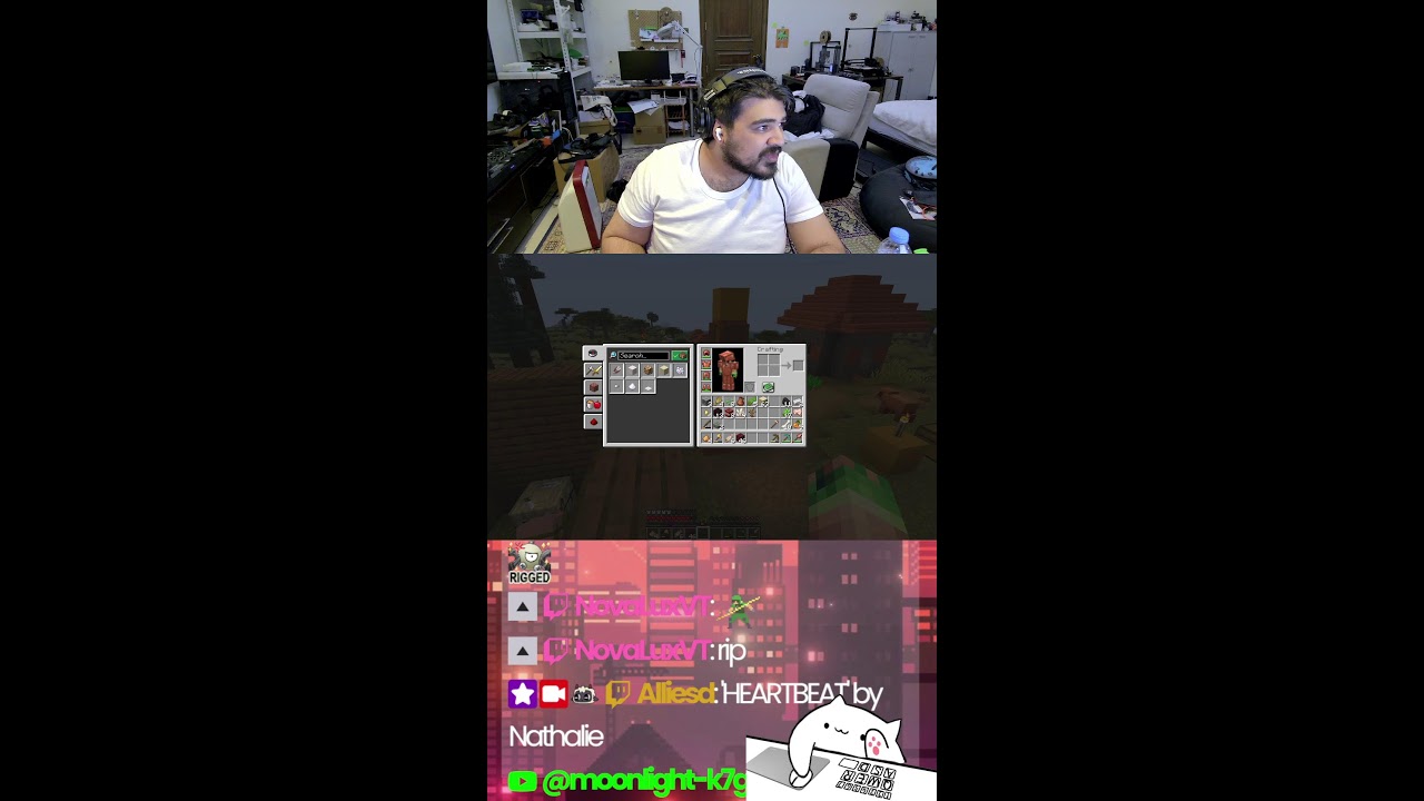 SURPRISE MINECRAFT
