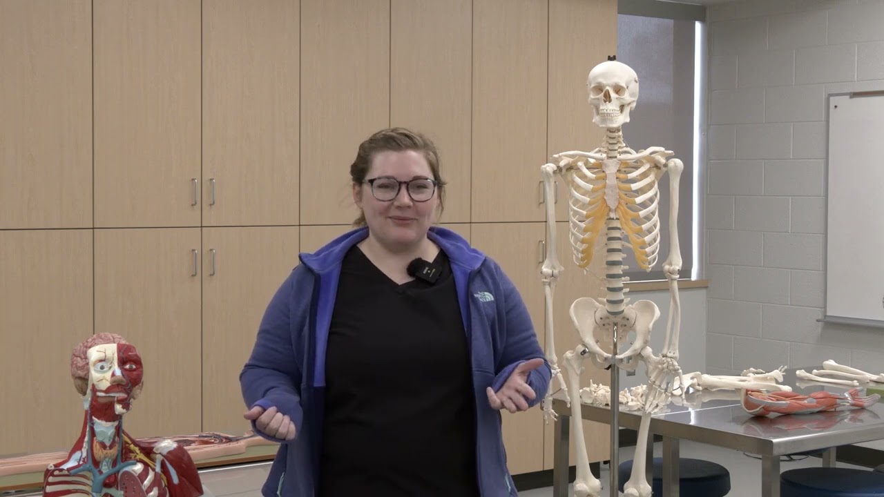 David J. Nutt Fund Legacy Grant: Bethany Biology Lab